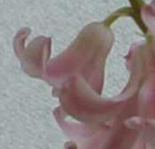 Smoothed