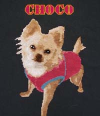 Choco